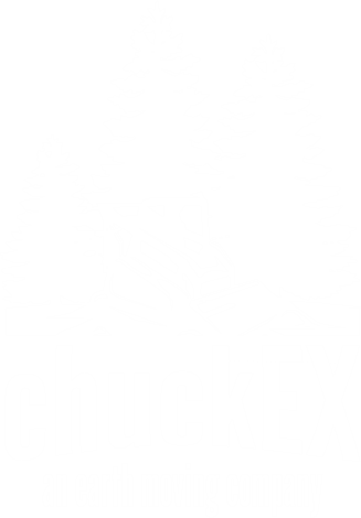 chuckEX logo